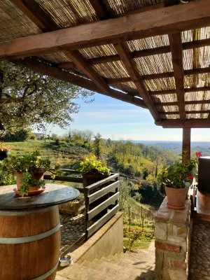 Qualche ora piacevole tra vino e aria aperta 