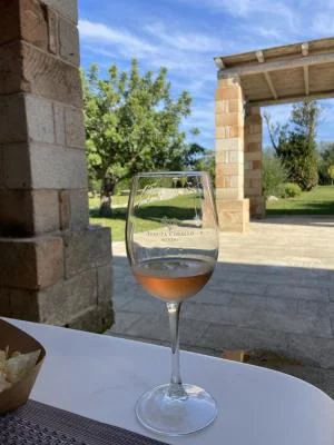 Ottimo vino e un'esperienza fantastica