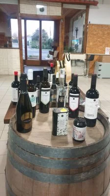 Bella esperienza in una cantina laziale in location eccellente