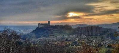 Un'esperienza indimenticabile tra i vigneti