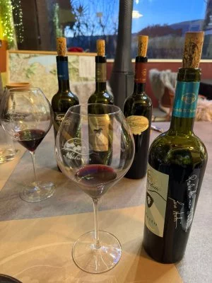 Degustazione 6 vini