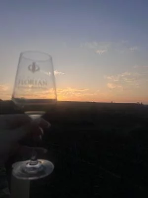 Bella esperienza al Domaine Florian a Salonicco