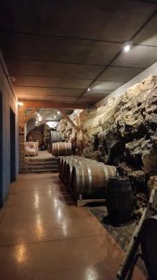 Villa crine - una famiglia dedita al vino