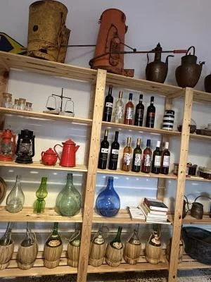 Alla scoperta del vigneto