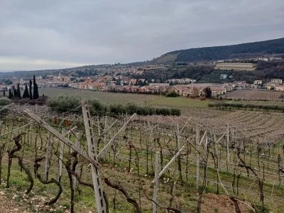 Spettacolo!!