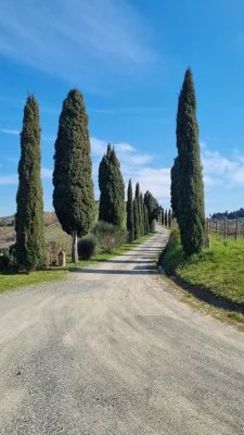 Degustazione con vista