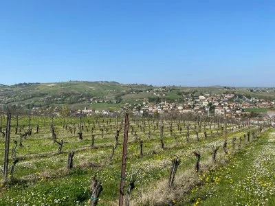 Degustazione e pic nic