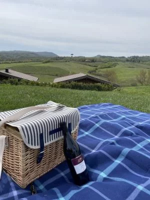 Picnic tra le colline toscane