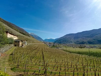 Degustazione vini