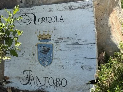 Un'esperienza in cantina da non perdere