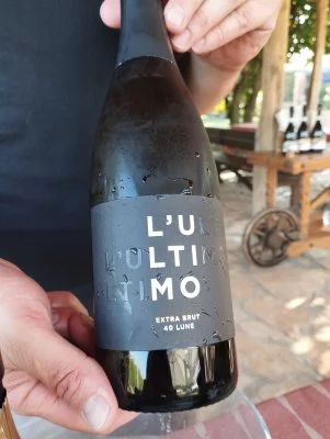 Sulla via dell'amicizia