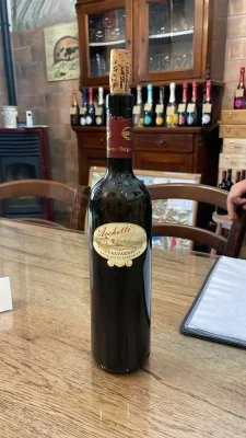 Esperienza di Degustazione Vini Lombardi