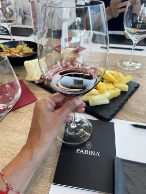 Vini deliziosi