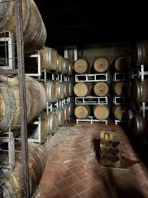 Degustazione di vini
