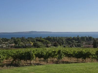 Splendido vigneto locale