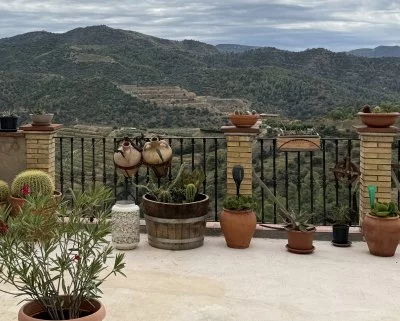 Un'indimenticabile introduzione ai vini del Priorat