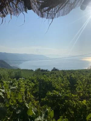 Una degustazione meravigliosa