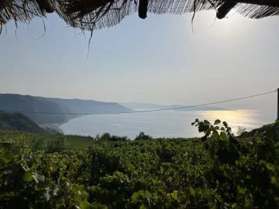 Visita Vigneti Ceramida