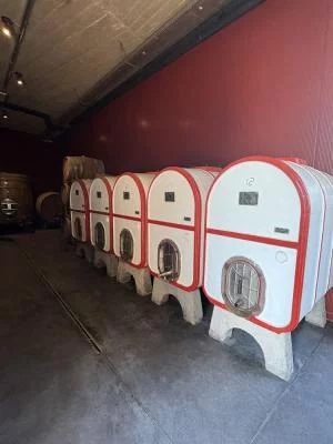 Bella scoperta