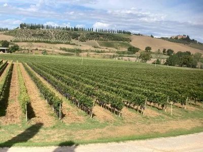 Degustazione di vini a Santa Giulia