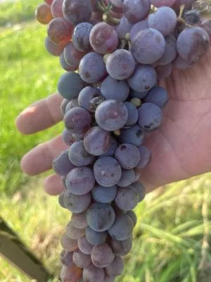 Angolo di paradiso
