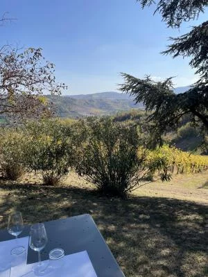Pomeriggio meraviglioso