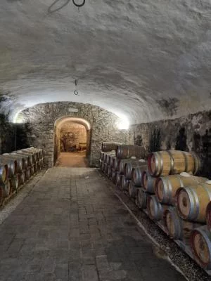 Eccellente