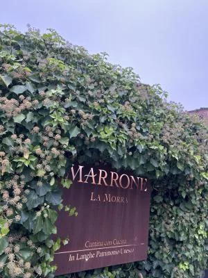 Cantina Marrone