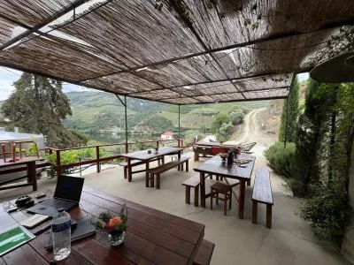 Authentic winery and giod wine