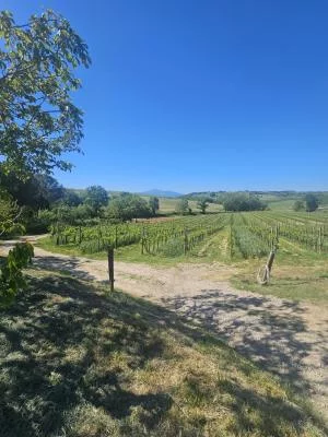 Fantastisch