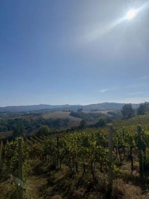 Tolles Erlebnis und die beste Reiseführerin!