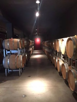 Cuando el vino marca la diferencia