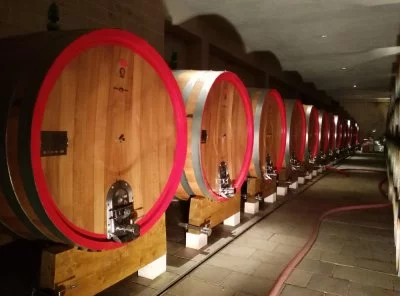 Un parc magnifique avec un domaine viticole à l'intérieur