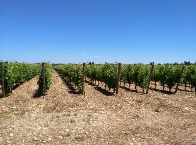 Magnifique Masseria près d'Oria