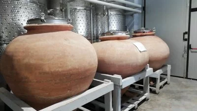 Des vins en amphore !