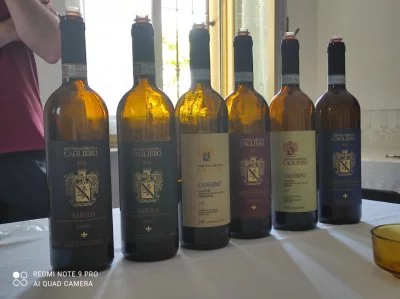 Domaine Viticole Cagliero