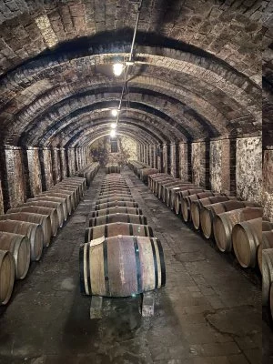 El Vino