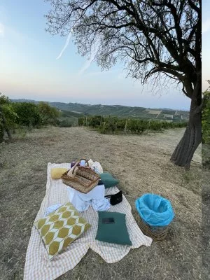 Un dimanche dans les vignes
