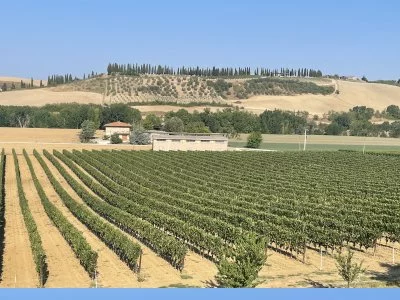 Voyage magique d'un vin rouge haut de gamme