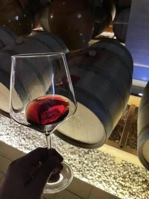 Excellente visite et dégustation de vin !