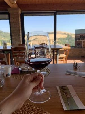 Visite du domaine et dégustation avec vue