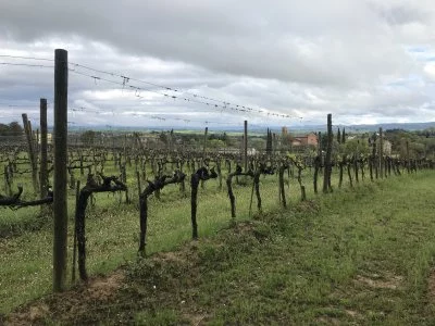 Vacances à Sienne