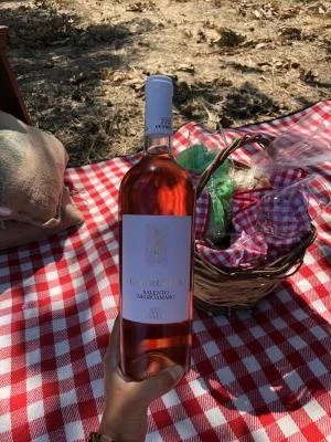 Pique-nique dans le vignoble