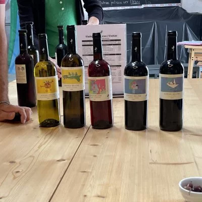 Visite exceptionnelle – excellentes informations et vin merveilleux !