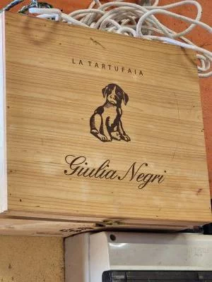 Vinos excepcionales y elegantes con un personal increíble
