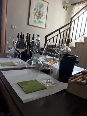 ¡Una experiencia excelente!