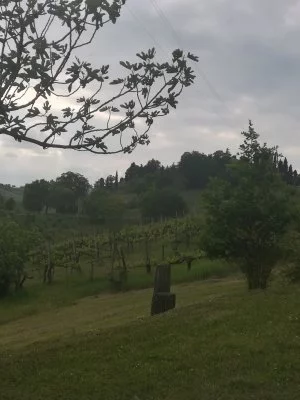 Una tarde preciosa