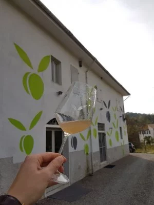 Esperienza Fantastica ad Inserrata