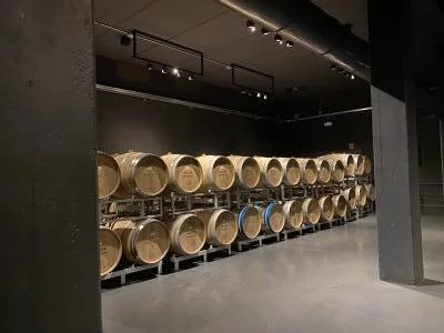 Un día en la bodega Olivini