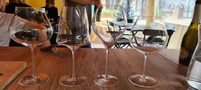 En un día gris, fueron los vinos y la gente quienes brillaron